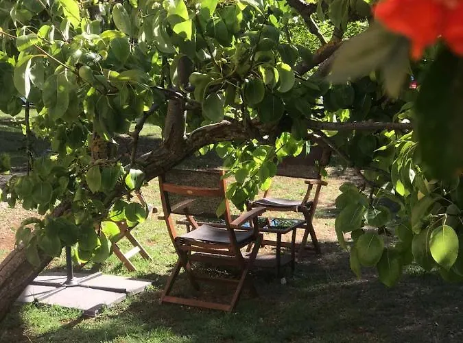 Seafront * Πούλα